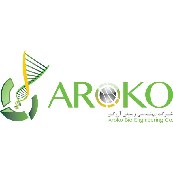 طراحی سایت آروکو