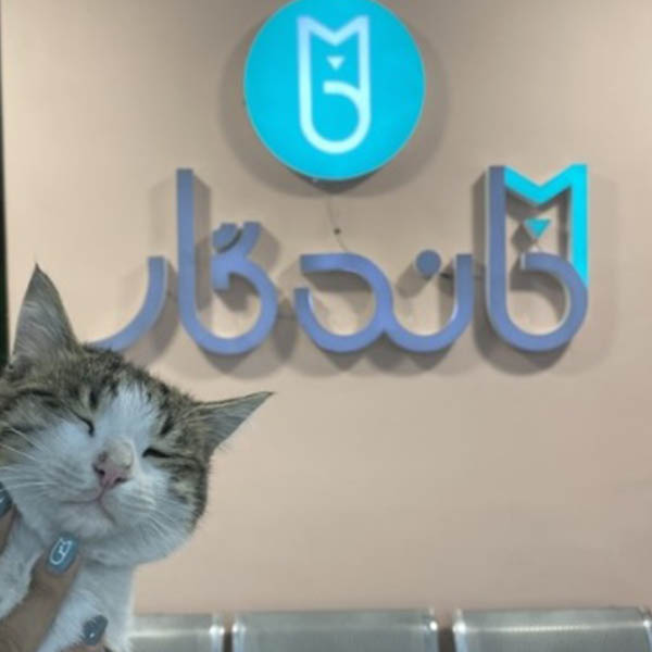 کلینیک دامپزشکی ماندگار