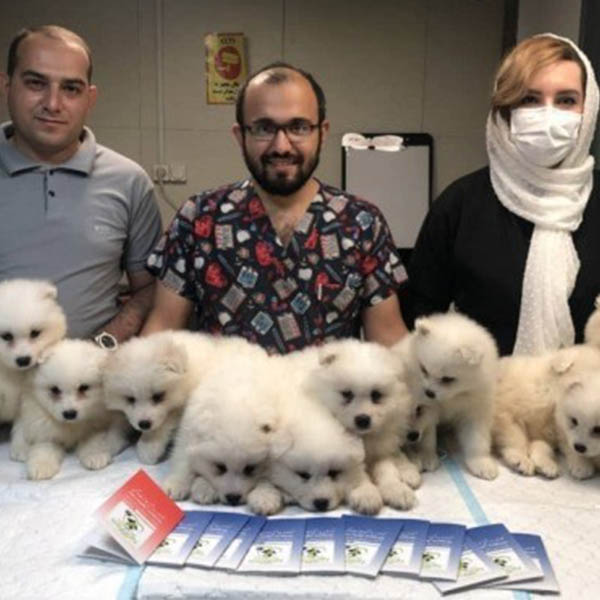 کلینیک دامپزشکی ماهان